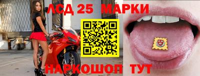 прущие грибы Северобайкальск