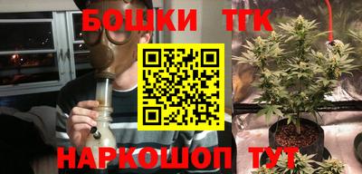 прущие грибы Северобайкальск