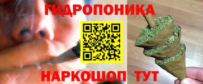 прущие грибы Северобайкальск