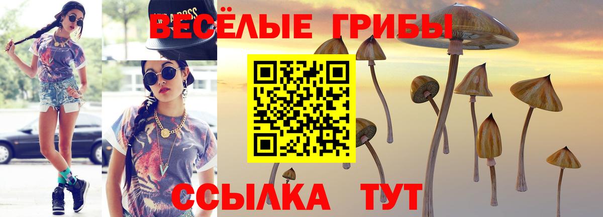 Псилоцибиновые грибы прущие грибы Родники