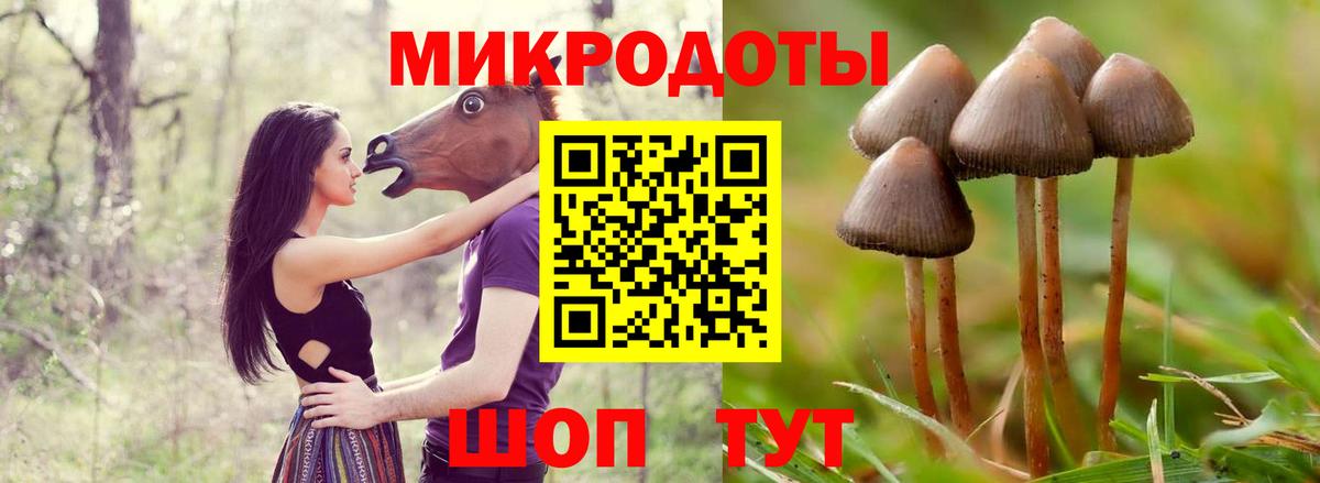 Родники  Галлюциногенные грибы ЛСД  Вход с VPN 