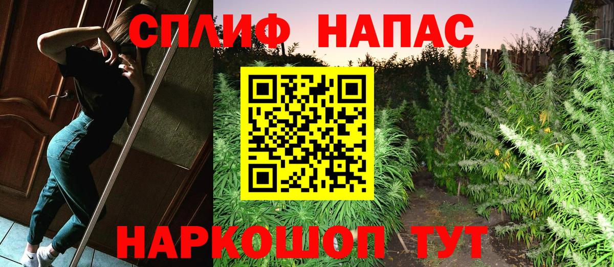 Бошки Шишки MAZAR Родники